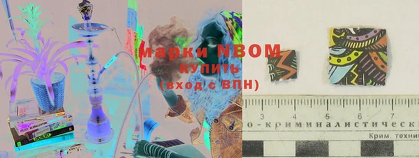 спиды Богородицк