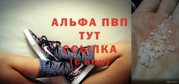 спиды Богородицк