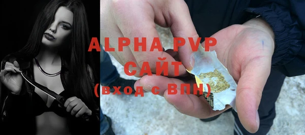 спиды Богородицк