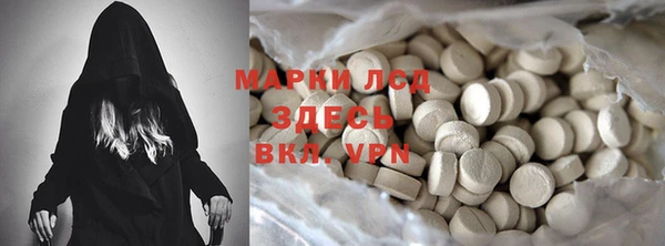 спиды Богородицк