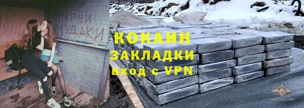 спиды Богородицк