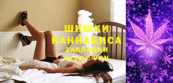 ешки Богданович