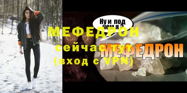 спиды Богородицк