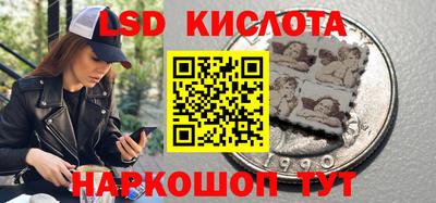 ALPHA PVP Малгобек
