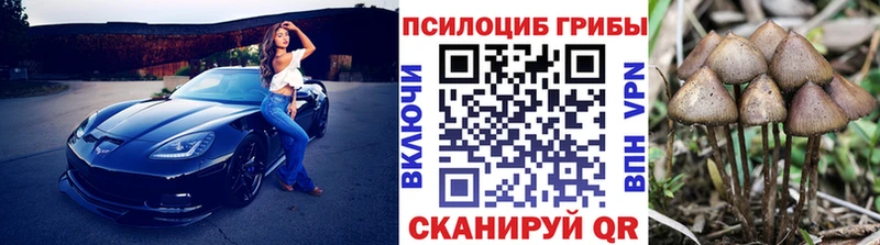 Галлюциногенные грибы мицелий  Буйнакск 