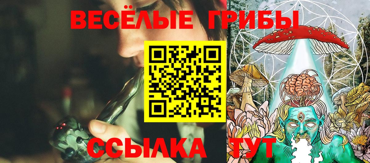 Псилоцибиновые грибы прущие грибы  Вход с VPN  Галлюциногенные грибы Magic Shrooms  цены   Буйнакск 